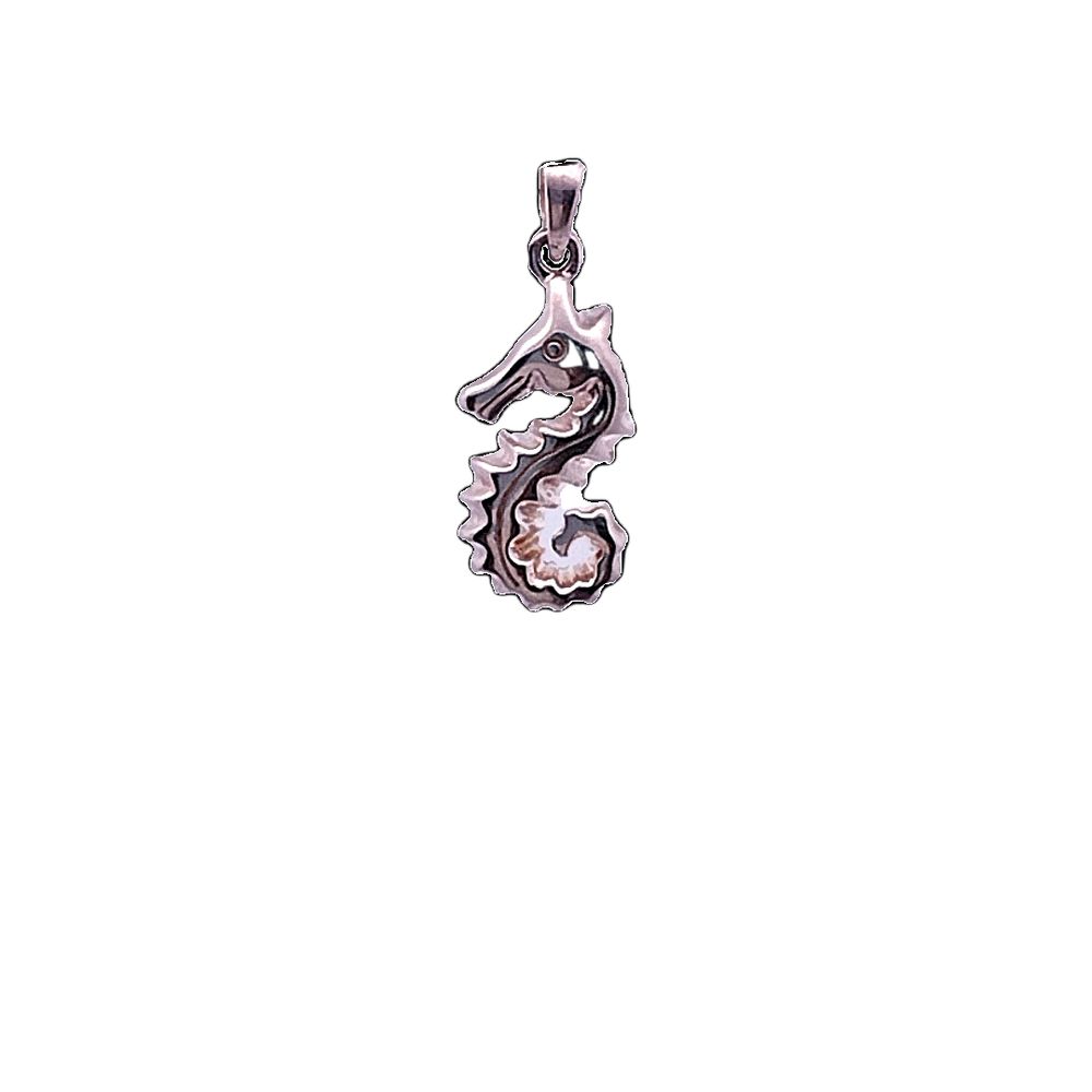 
                
                    Load image into Gallery viewer, Across the Sea Silver Pendant
                
            
