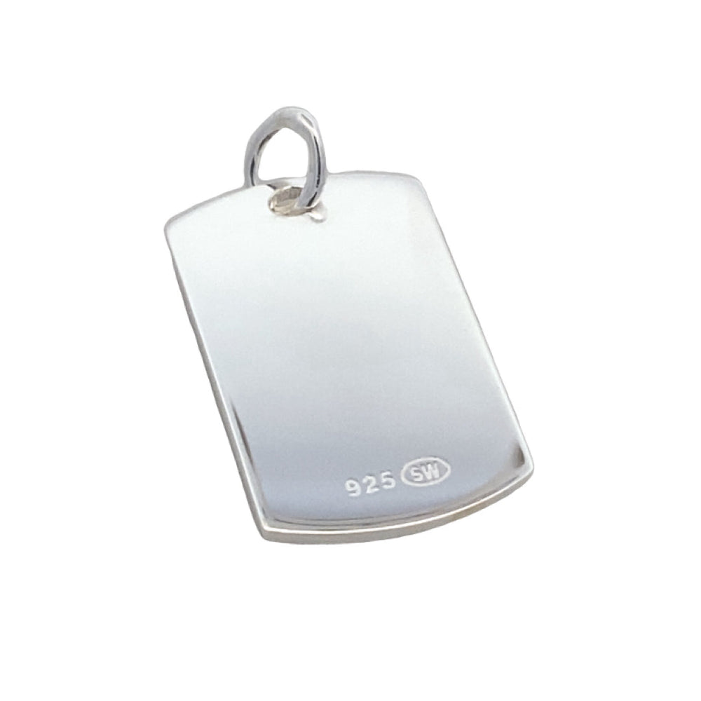 
                      
                        C5120 PLAIN DOGTAG PNDNT 3.2G
                      
                    