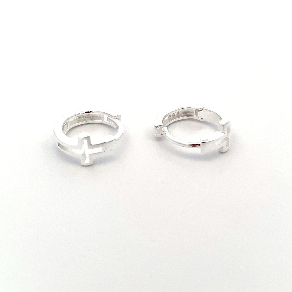 
                      
                        E7642 CROSS HUGGIES 2X11MM SE 1.13G
                      
                    