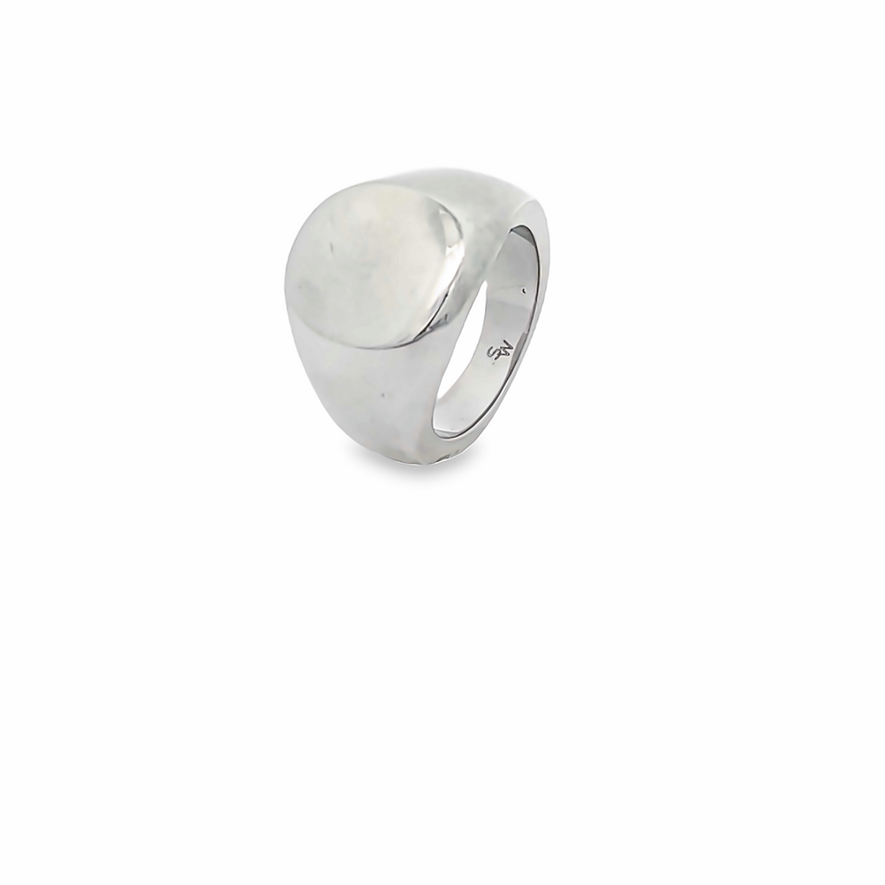 
                      
                        Stainless Steel Plain Polish Oval Signet R15G
                      
                    