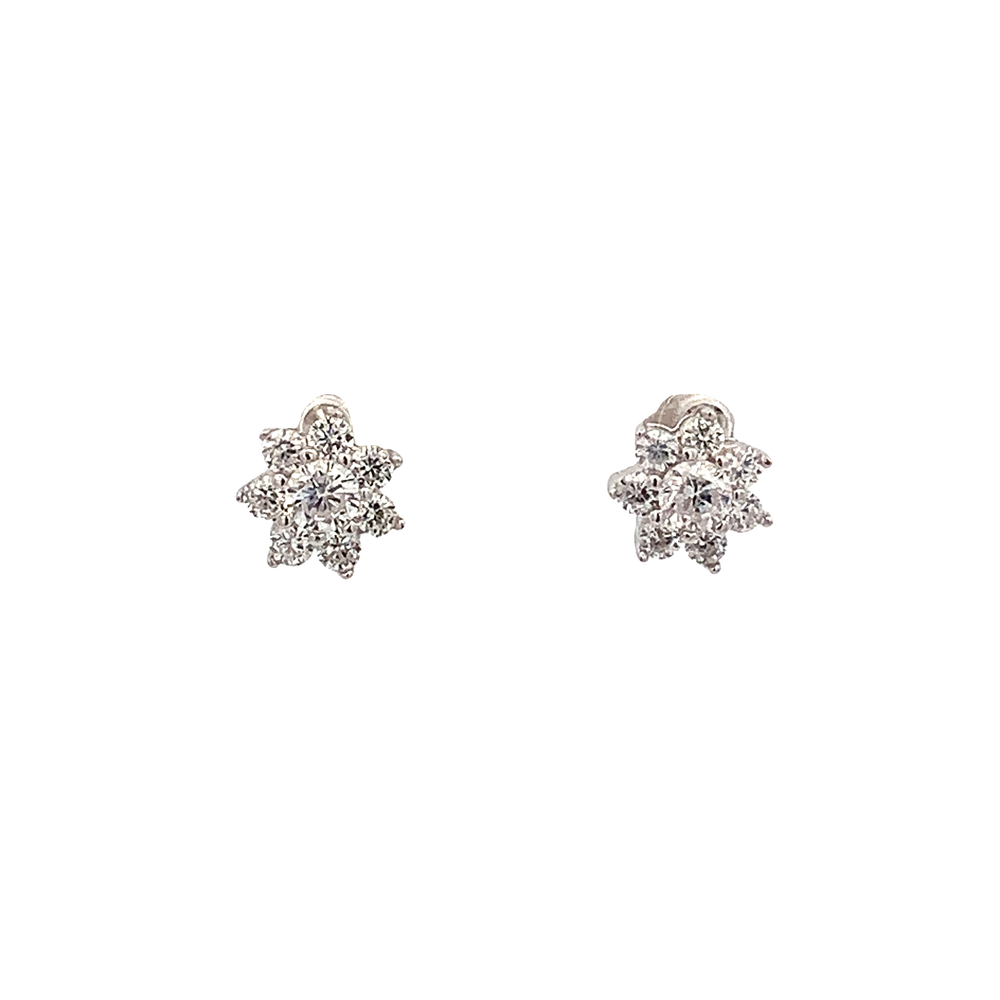 
                
                    Load image into Gallery viewer, Mesmerizing Silver Pave Stud Earrings
                
            