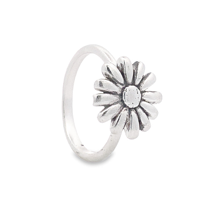 
                
                    Load image into Gallery viewer, Ereesia Silver Ring
                
            