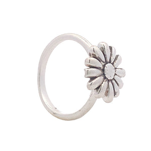 Ereesia Silver Ring