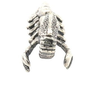 I Got Rhythm Silver Ring