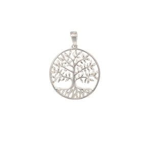 
                
                    Load image into Gallery viewer, Hide Away Silver Pendant
                
            