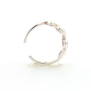 Aquarius, Let the Sunshine In Silver Ring
