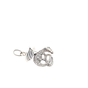 
                
                    Load image into Gallery viewer, Ashbi Silver Pendant
                
            