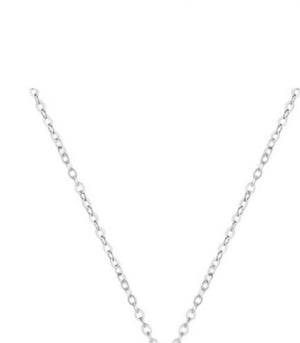 
                
                    Load image into Gallery viewer, N4062 -Thin Rolo Chain Necklace
                
            