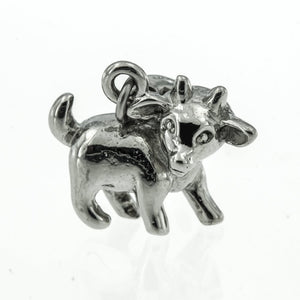 
                
                    Load image into Gallery viewer, Chinese Zodiac Collection Stainless Steel Hypoallergenic Charm Bracelet Philippines | Silverworks
                
            