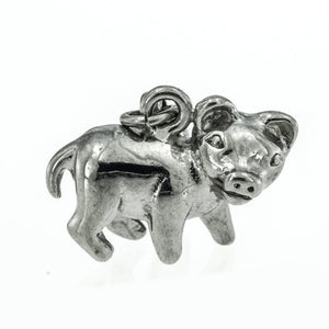Chinese Zodiac Collection Stainless Steel Hypoallergenic Charm Bracelet Philippines | Silverworks